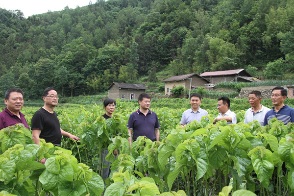 安康市商務(wù)局領(lǐng)導(dǎo)來我公司調(diào)研春蠶收購及扶貧點(diǎn)蠶?；亟ㄔO(shè)情況